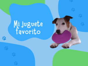 Mascota 3